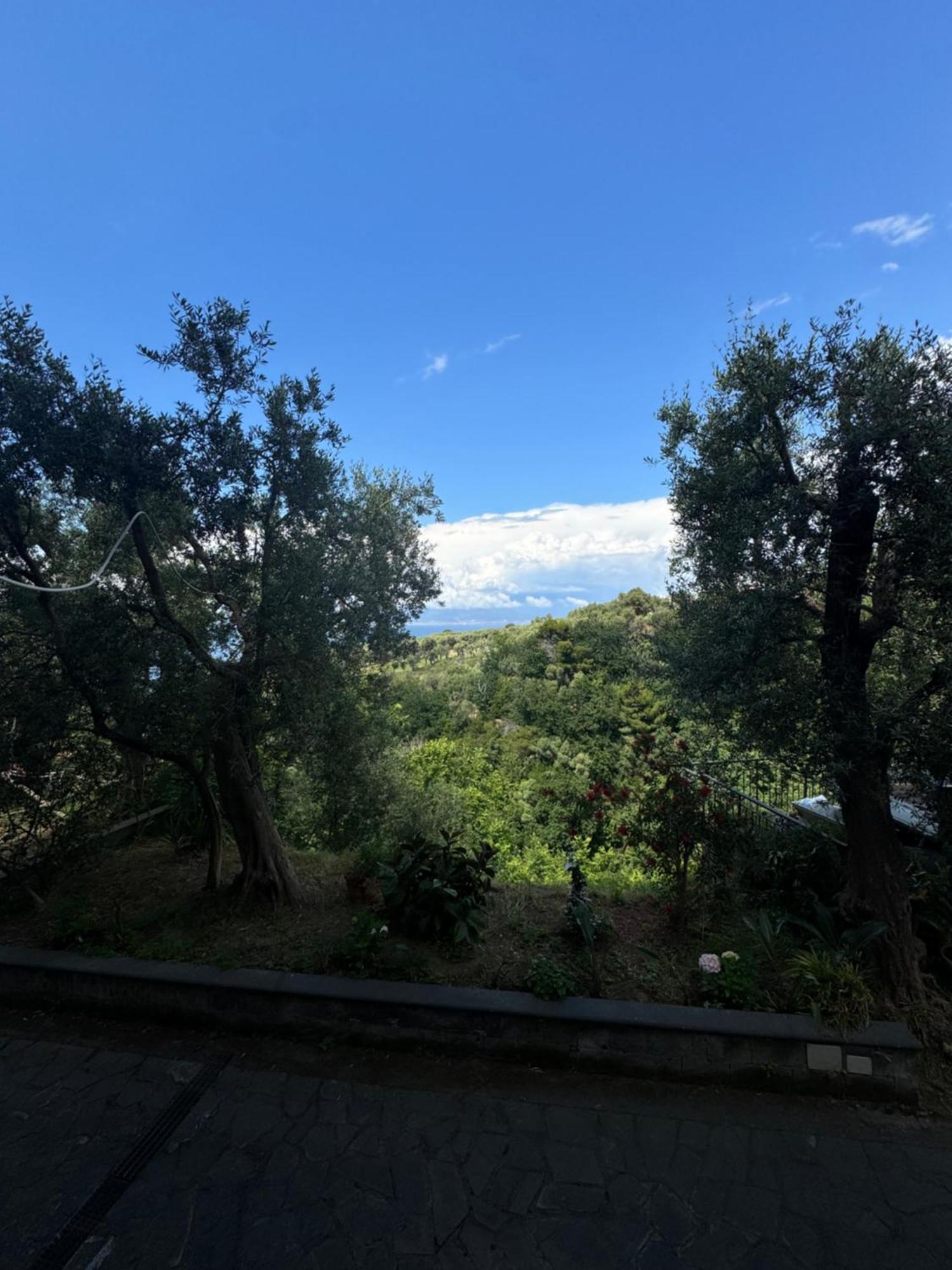 Villa Rosmary Massa Lubrense Exterior photo